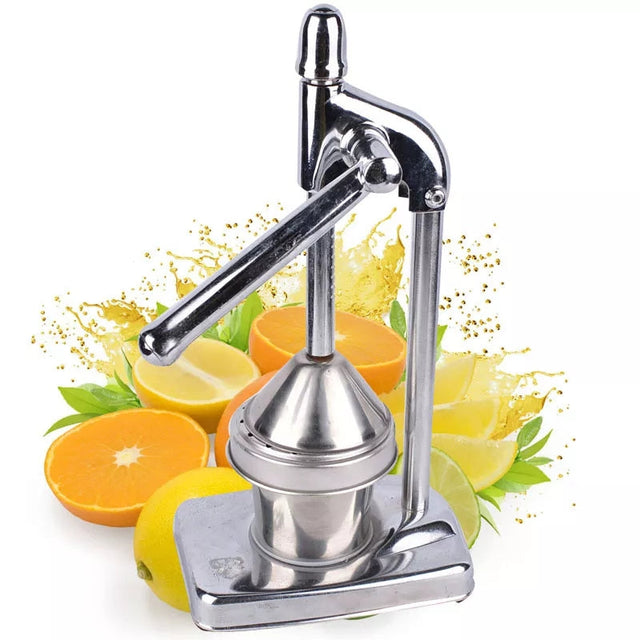 Rustfrit Stål Frugtjuicer