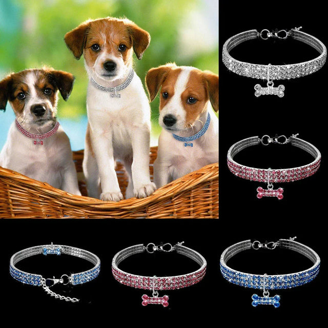 Glamourøs Hundehalsbånd – SparkleCollar