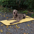 Foldbar Vandtæt Bærbar Hundebil Sædemåtte Hundecampingmåtte