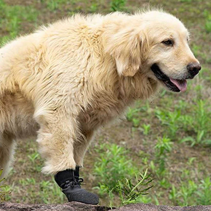 Udendørs vandtætte åndbare vandrestøvler til hunde, der ikke glider