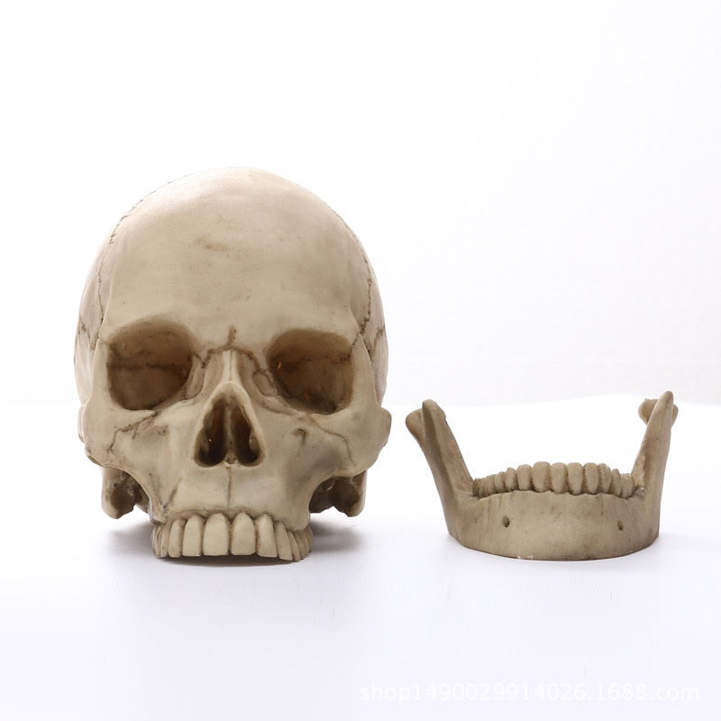 1:1 Menneskehoved Kranium Statue til Hjemmedekoration Resin Figurer Halloween Dekoration Skulptur Medicinsk Undervisnings Skitsemodel Håndværk