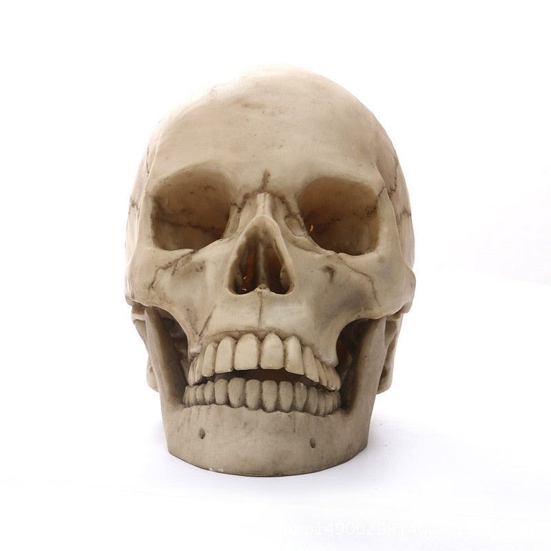 1:1 Menneskehoved Kranium Statue til Hjemmedekoration Resin Figurer Halloween Dekoration Skulptur Medicinsk Undervisnings Skitsemodel Håndværk