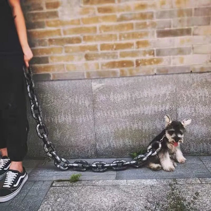 Sjovt Stort Hundehalsbånd
