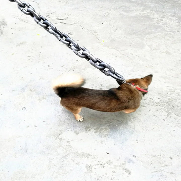 Sjovt Stort Hundehalsbånd