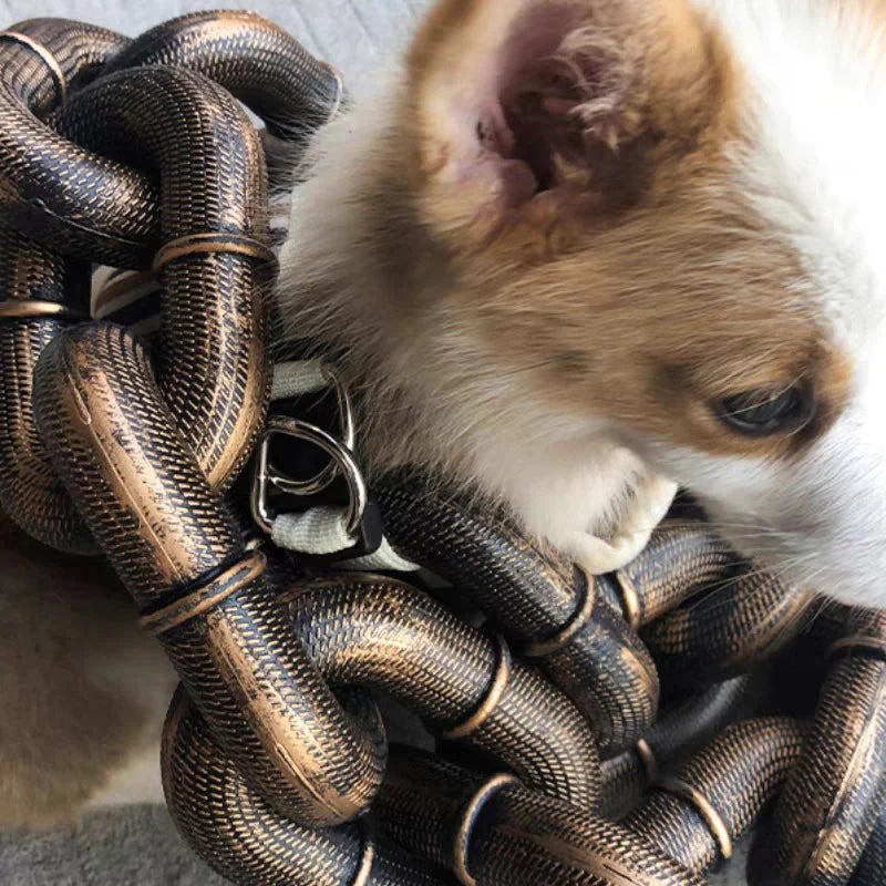 Sjovt Stort Hundehalsbånd
