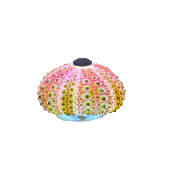 CoastalGlow DIY Pindsvin Nattelys