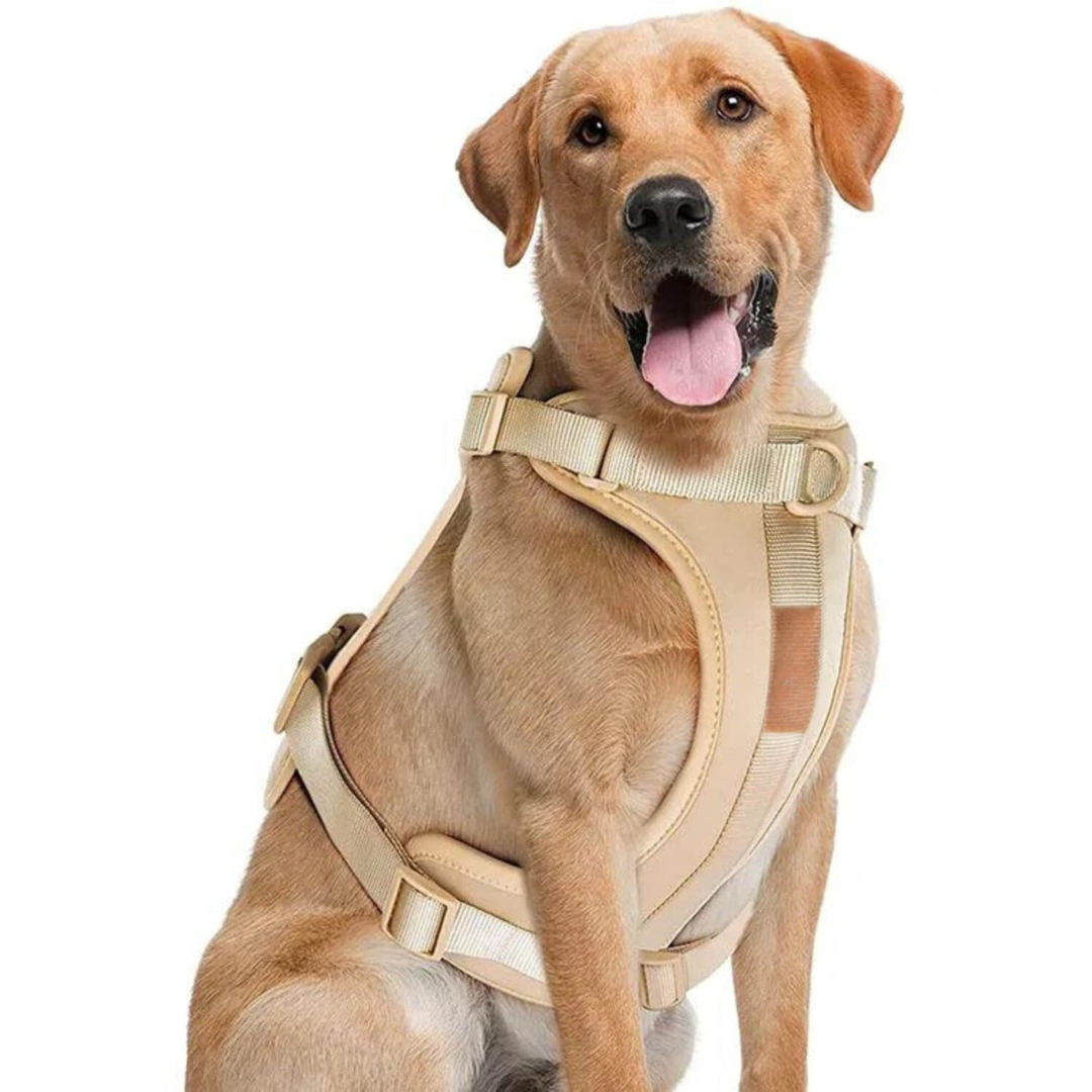 ComfyPaws Hundesele Gå-Sæt med Snor og Affaldsposer Holder