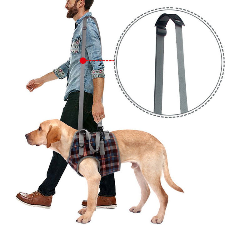 Ortopædisk Bagben Støtte Sele til Hunde – Ideel til Artritis, Hofte Dysplasi &amp; Mobilitets Hjælp
