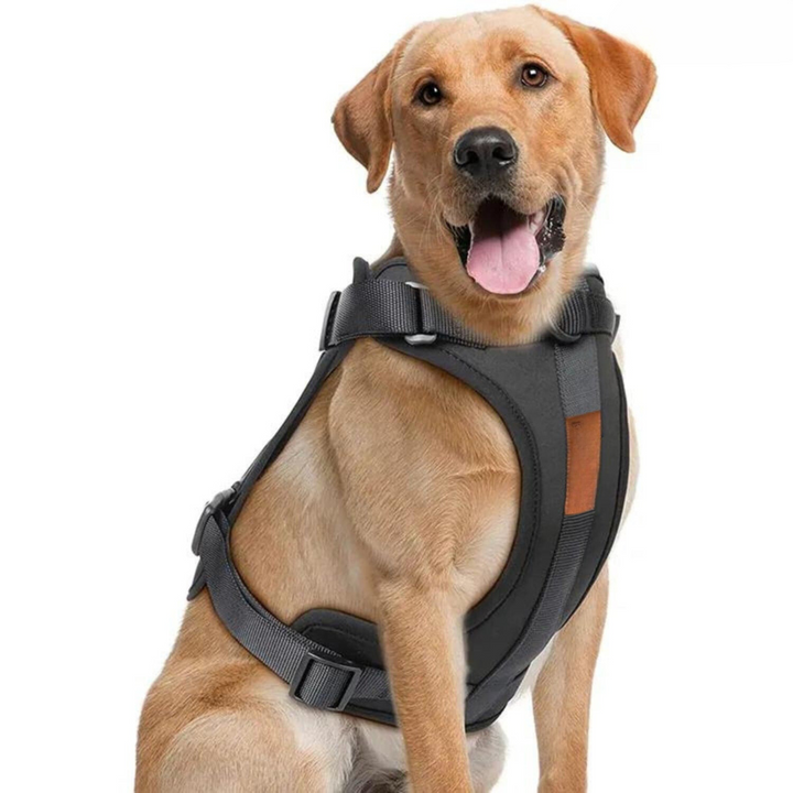 ComfyPaws Hundesele Gå-Sæt med Snor og Affaldsposer Holder