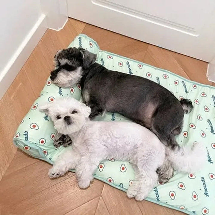 Is Silke Kølende Måtte til Hunde &amp; Katte🐶 |