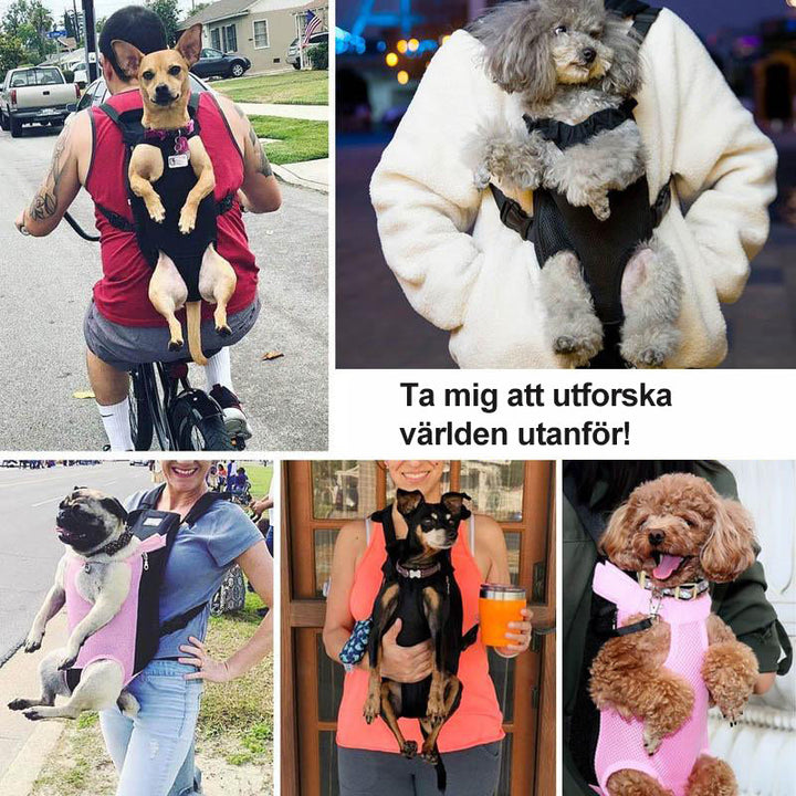Pet Backpack Front