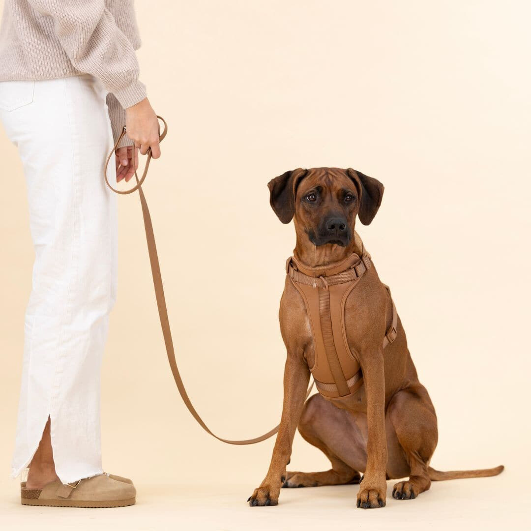 ComfyPaws Hundesele Gå-Sæt med Snor og Affaldsposer Holder
