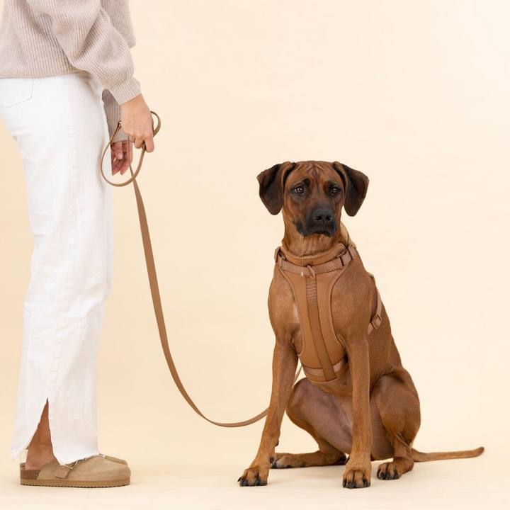 ComfyPaws Hundesele Gå-Sæt med Snor og Affaldsposer Holder