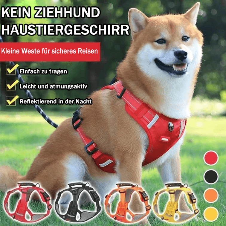 Ingen Træk Hundesele til Kæledyr