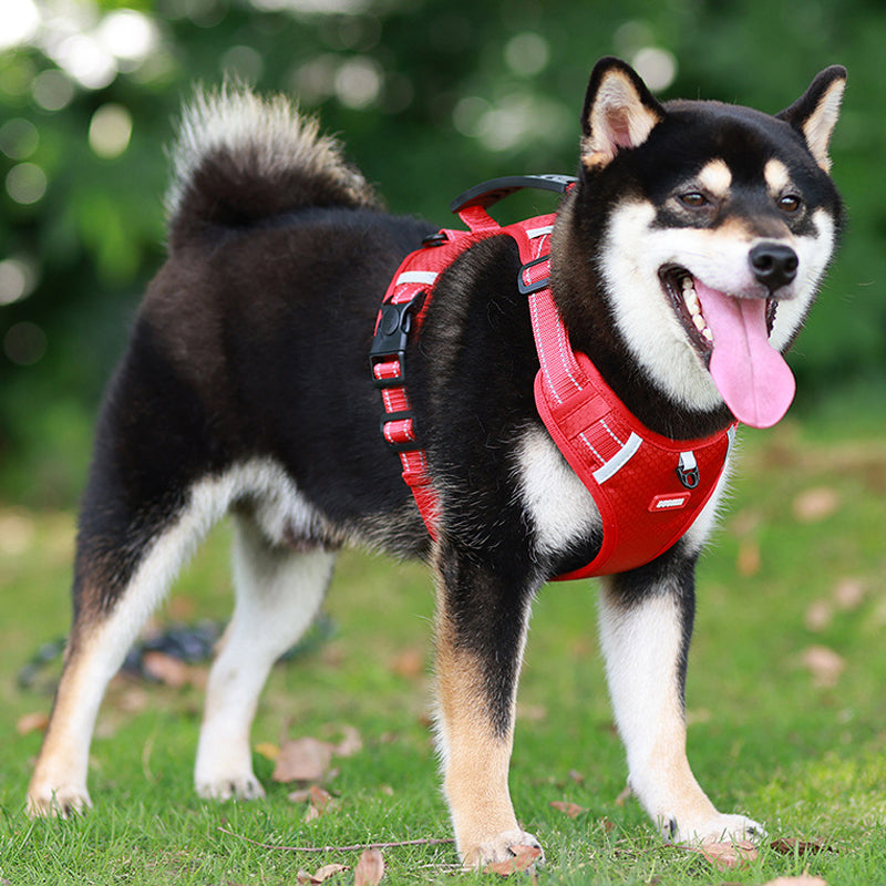 Reflekterende Hundesele |