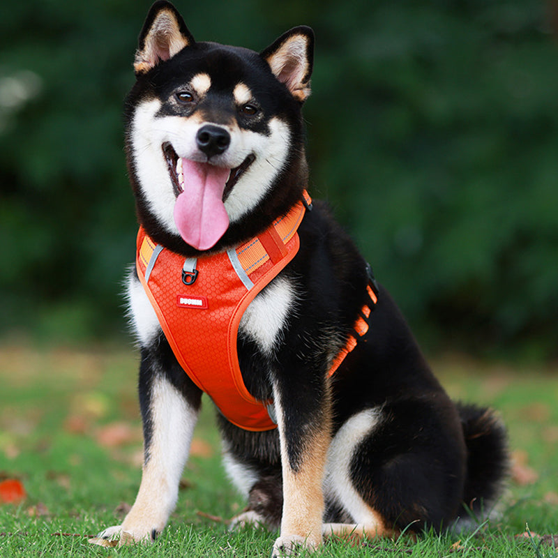 Reflekterende Hundesele |