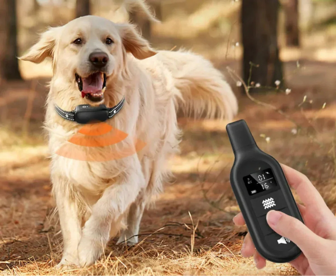 Dog Coach Pro Træningskrave – Vandtæt Elektronisk Krave med Fjernbetjening