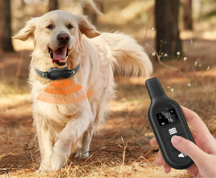 Dog Coach Pro Træningskrave – Vandtæt Elektronisk Krave med Fjernbetjening