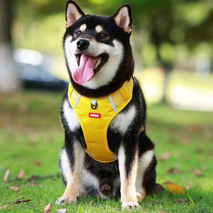 Reflekterende Hundesele |