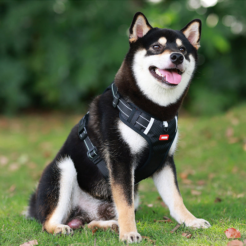 Reflekterende Hundesele |