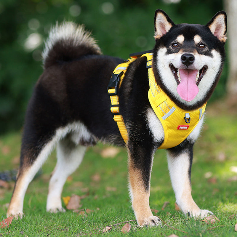 Reflekterende Hundesele |