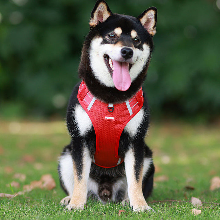 Reflekterende Hundesele