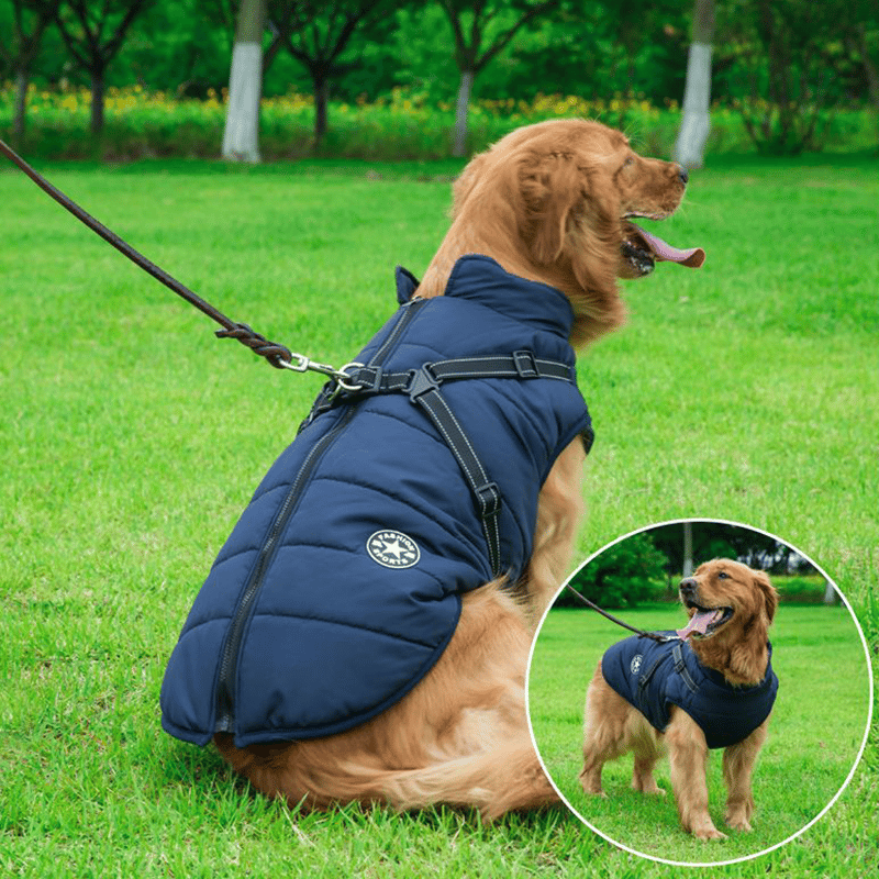 Vinter hundejakke med sele |