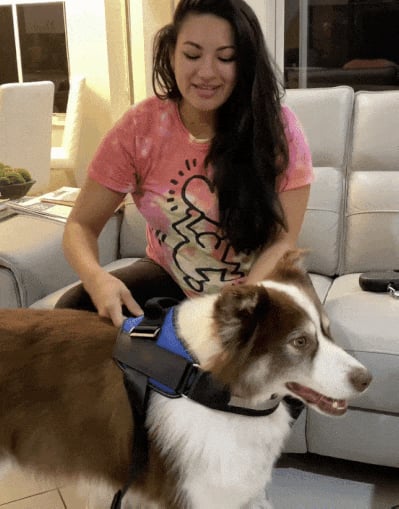 Anti Choke Hundesele