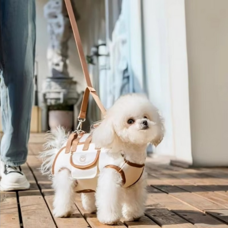 Multi-Funktionel Kæledyrseler og Bære-Rygsæk til Små Hunde og Katte