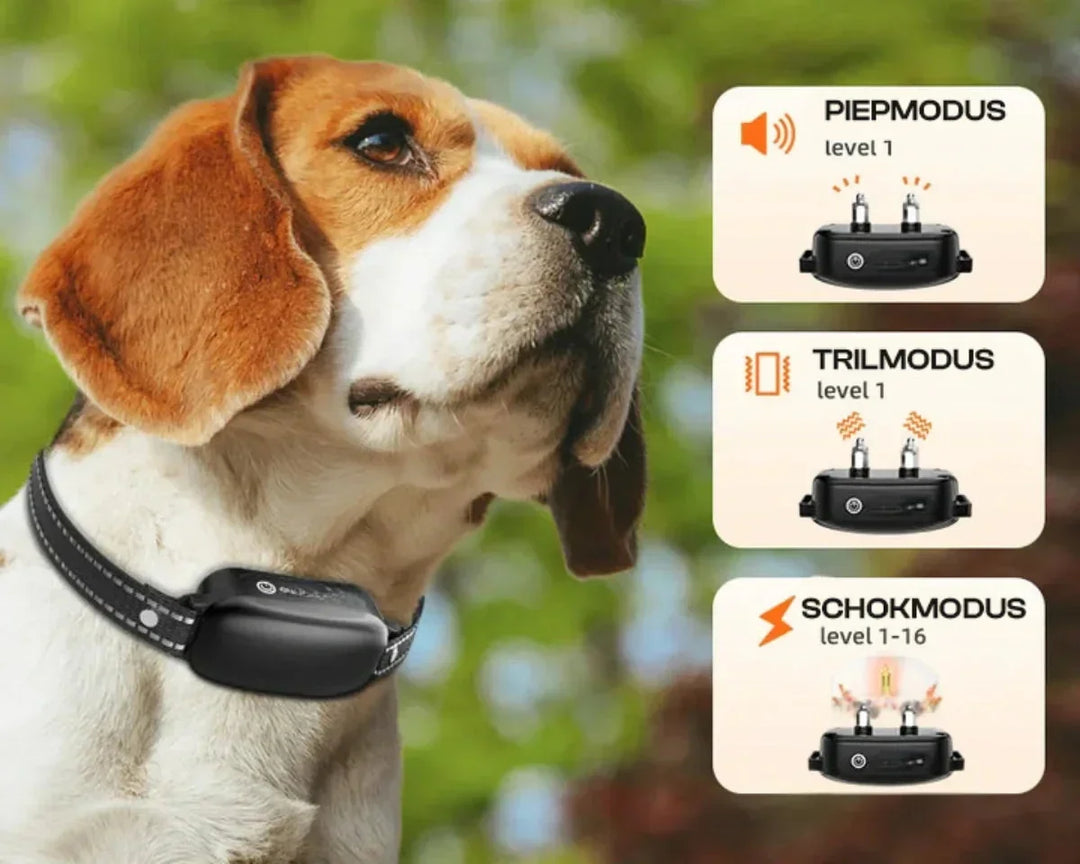 Dog Coach Pro Træningskrave – Vandtæt Elektronisk Krave med Fjernbetjening