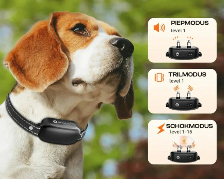 Dog Coach Pro Træningskrave – Vandtæt Elektronisk Krave med Fjernbetjening
