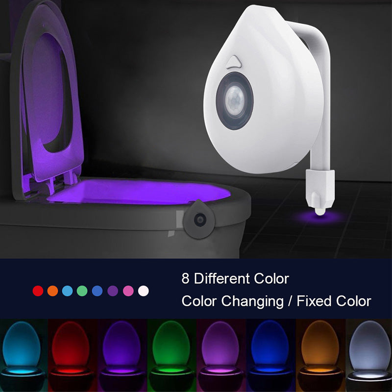 LED Induktions Toilet Natlys