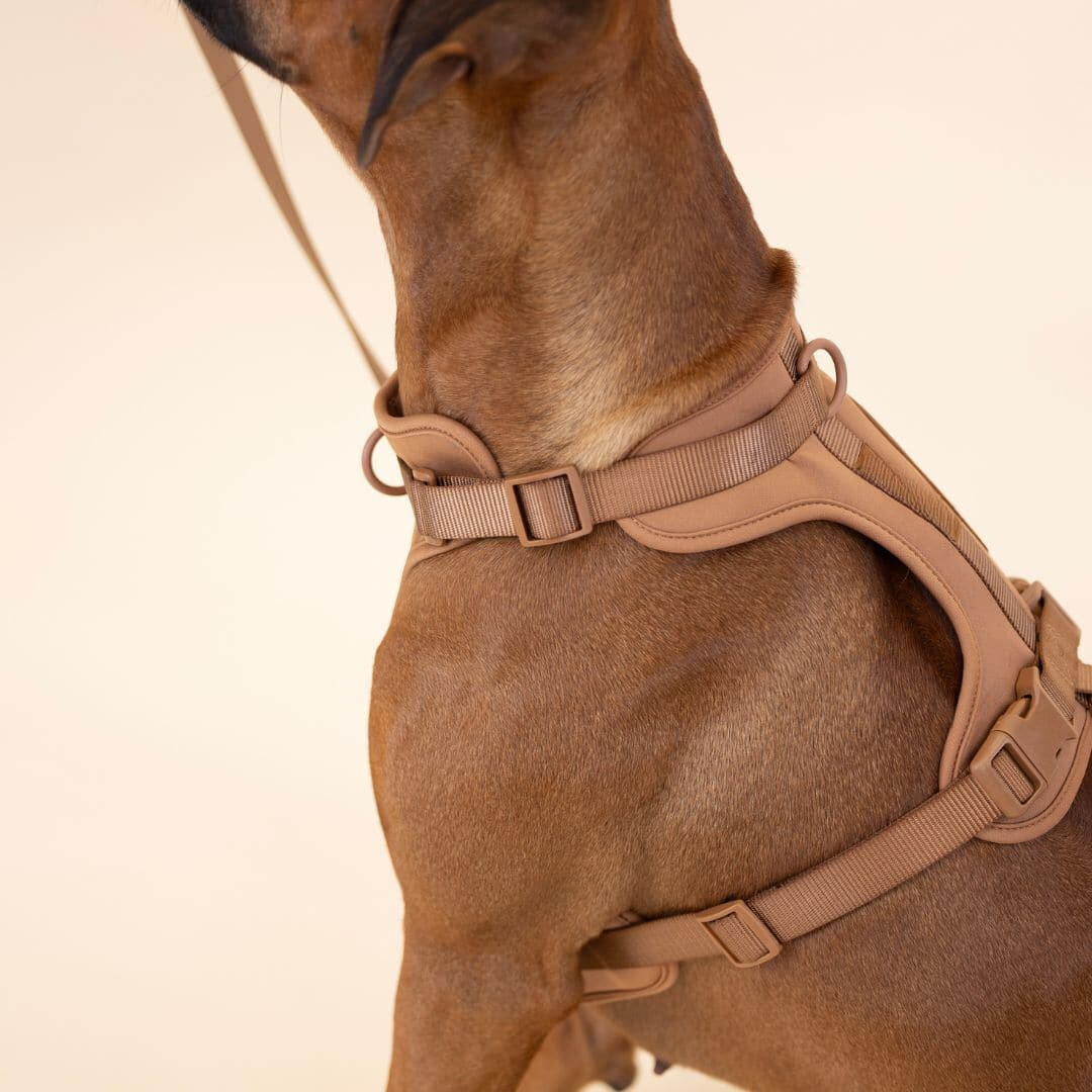 ComfyPaws Hundesele Gå-Sæt med Snor og Affaldsposer Holder