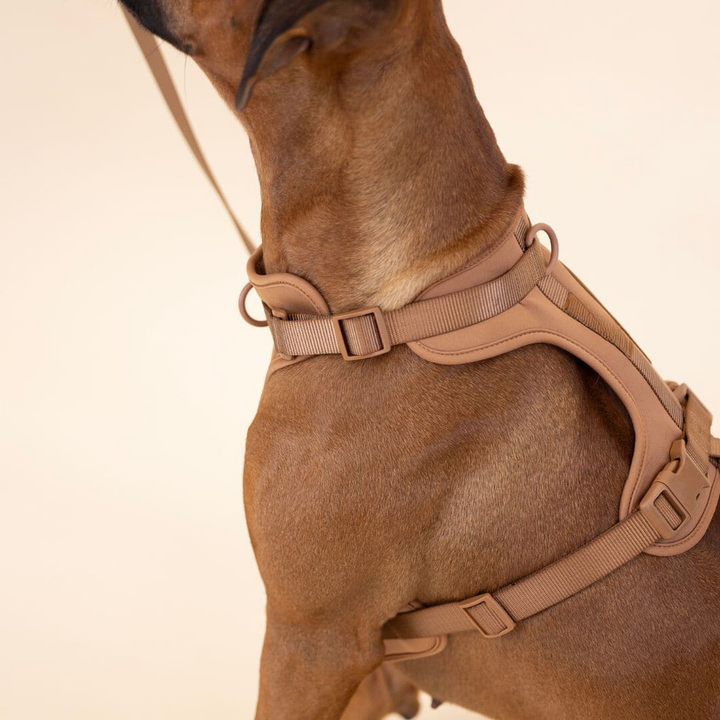 ComfyPaws Hundesele Gå-Sæt med Snor og Affaldsposer Holder