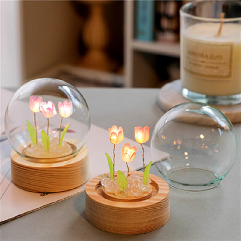 Tulipan Nattelys