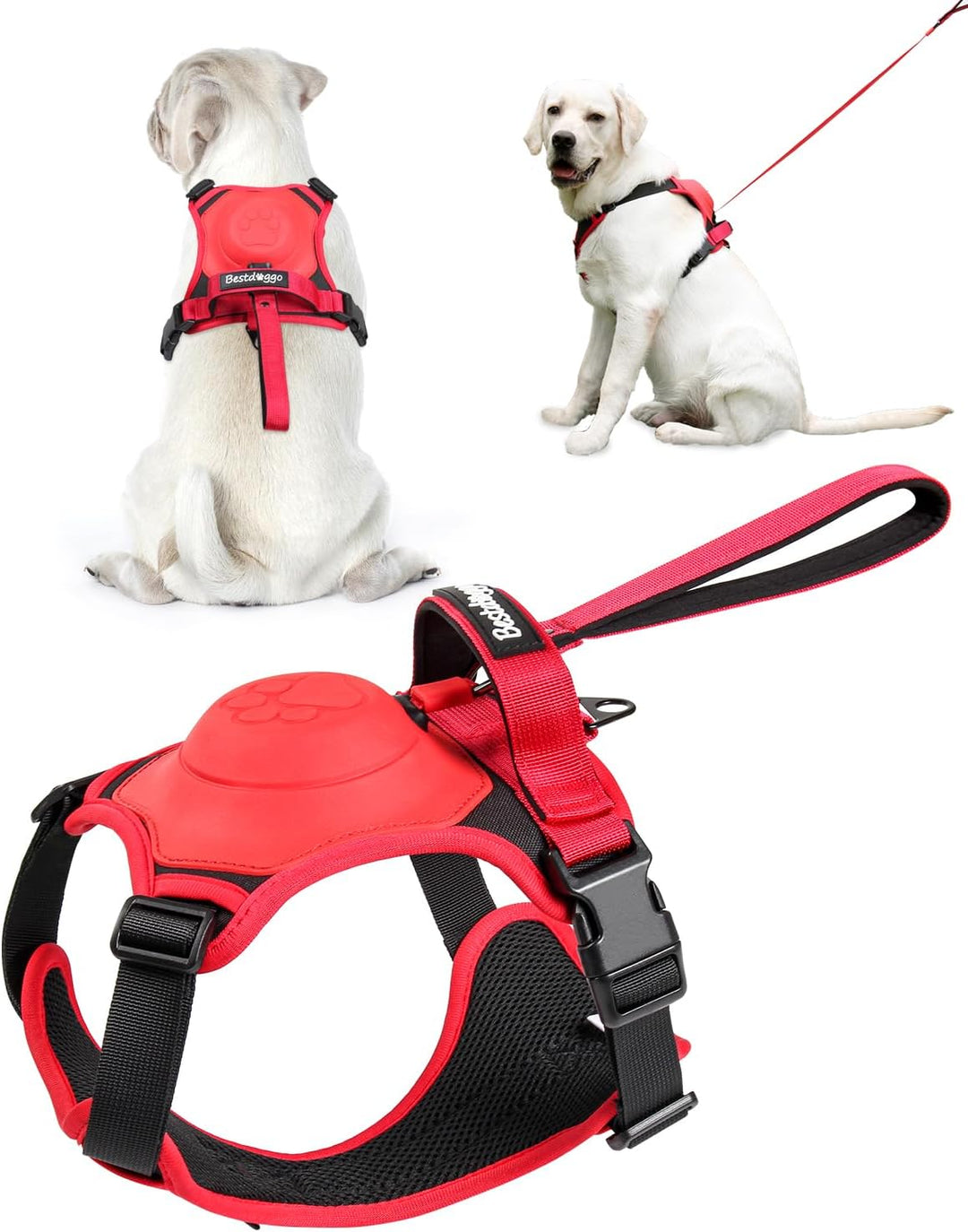 mamymarket™ - Hundesele og Sammenklappelig Snor Sæt Alt-i-Én