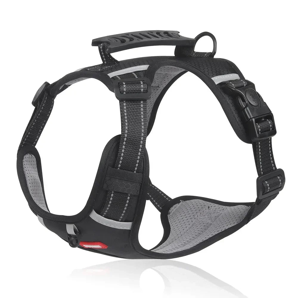 NoPull Hundesele – WalkEase