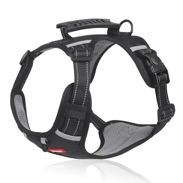 NoPull Hundesele – WalkEase