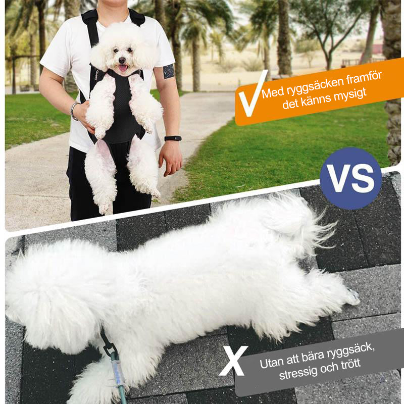 Pet Backpack Front