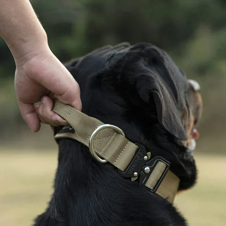 Taktisk Hundehalsbånd med Håndtag – GripMaster