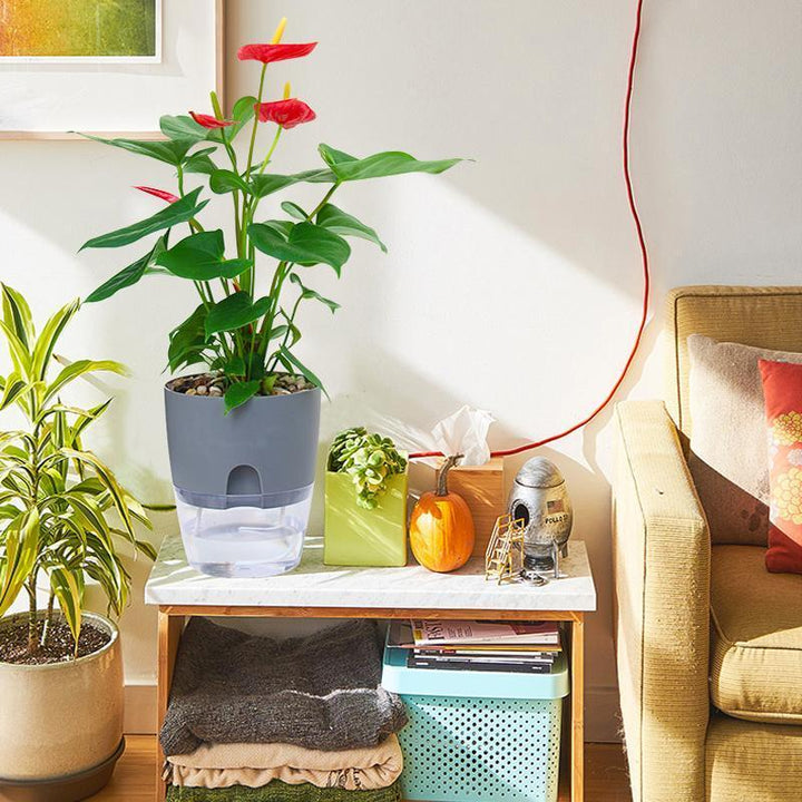 Selvvandende Hydro-Blomsterkrukke