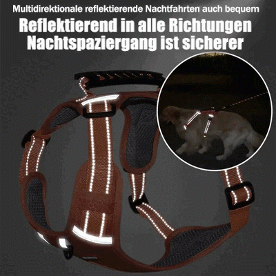 Ingen Træk Hundesele til Kæledyr