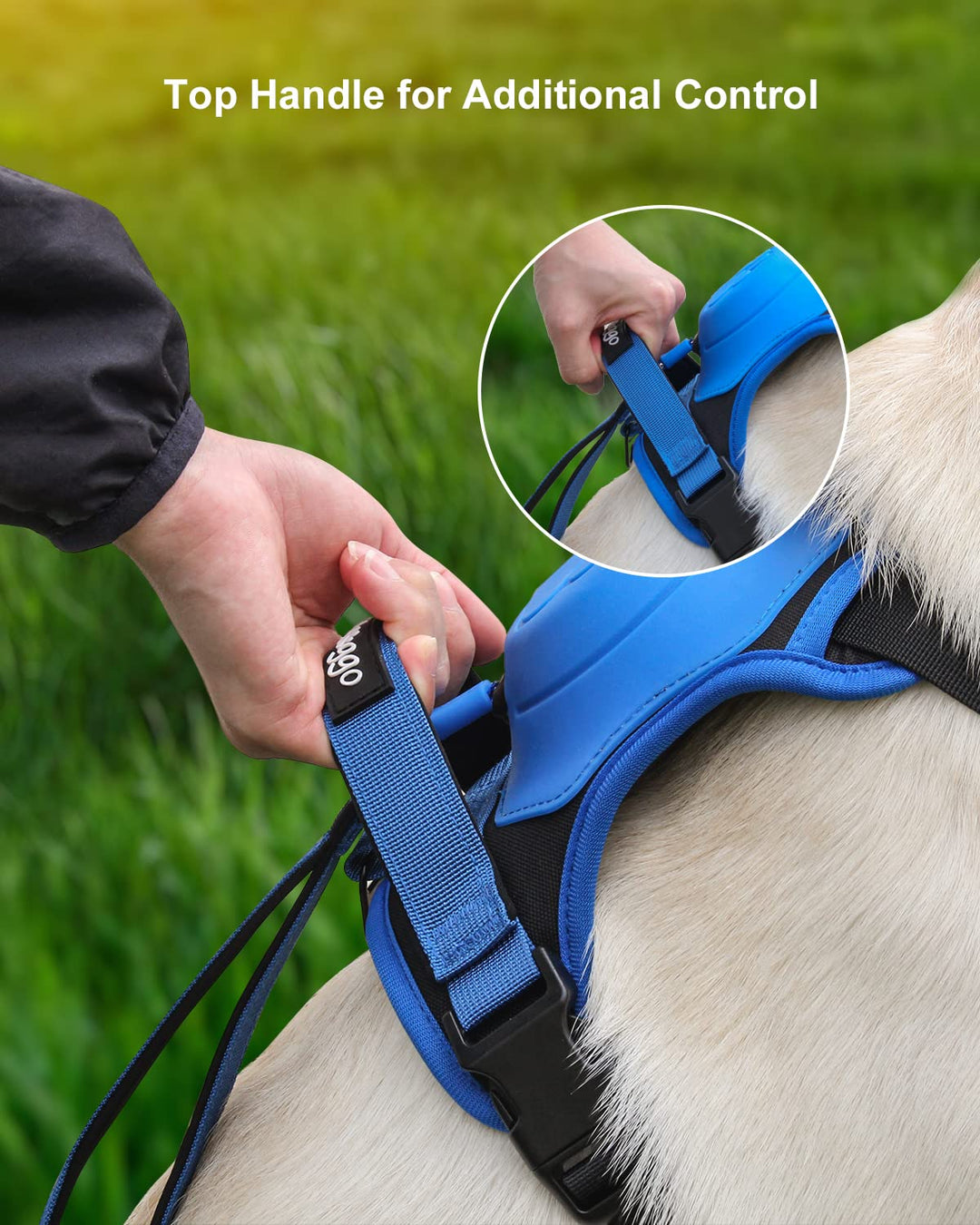 mamymarket™ - Hundesele og Sammenklappelig Snor Sæt Alt-i-Én