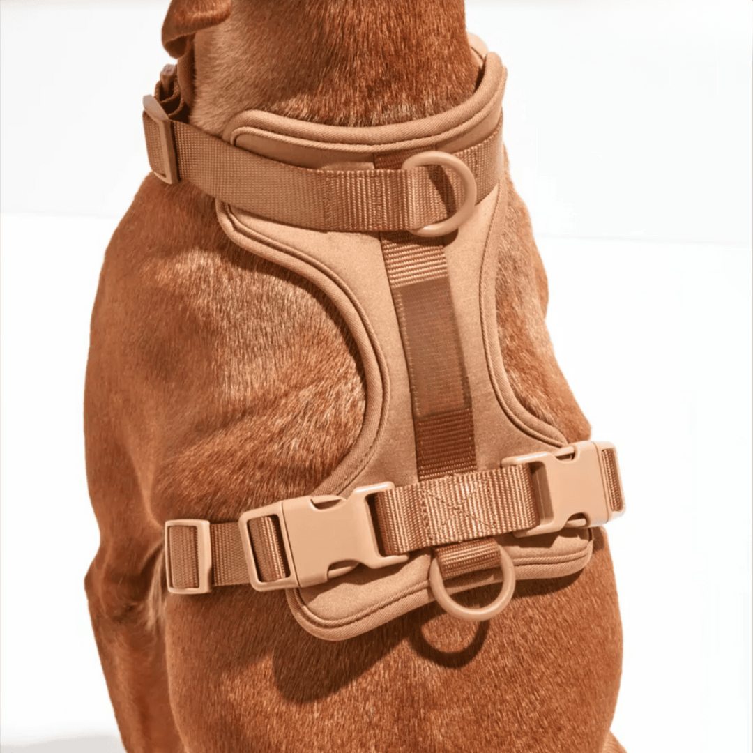 ComfyPaws Hundesele Gå-Sæt med Snor og Affaldsposer Holder