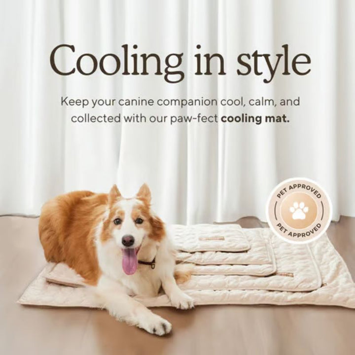 Kølemåtte til Hunde (4x Mere Effektiv)