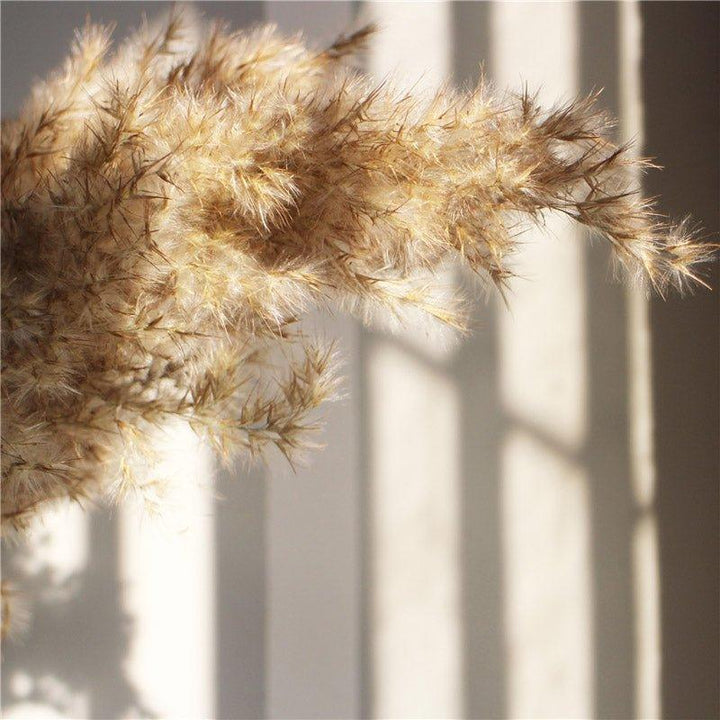 60 cm naturlig, ægte, brun-beige tørret pampasgræs buket │ fluffy fjer til moderne boho hjemmeindretning