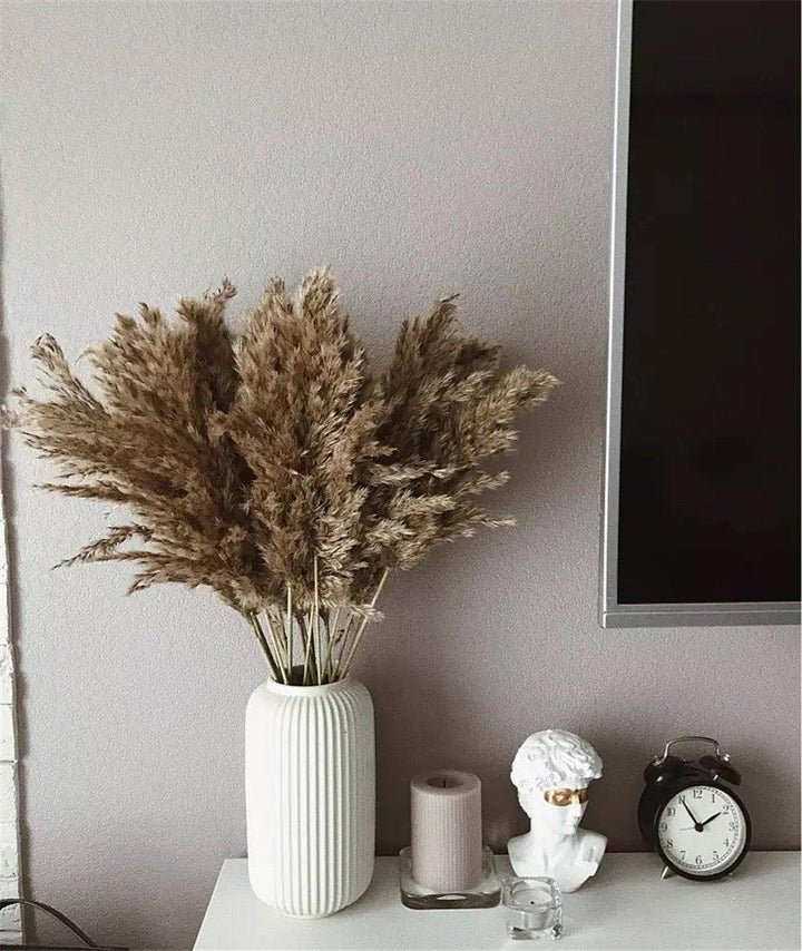 60 cm naturlig, ægte, brun-beige tørret pampasgræs buket │ fluffy fjer til moderne boho hjemmeindretning