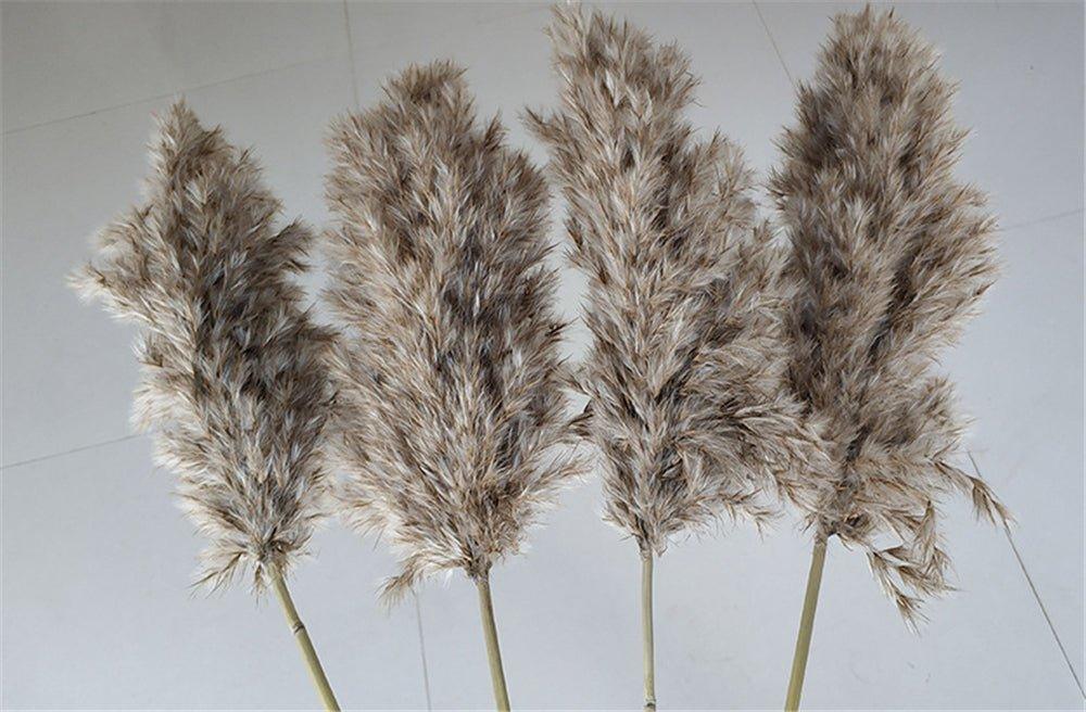 60 cm naturlig, ægte, brun-beige tørret pampasgræs buket │ fluffy fjer til moderne boho hjemmeindretning