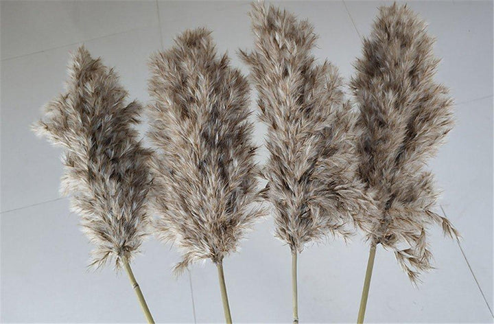 60 cm naturlig, ægte, brun-beige tørret pampasgræs buket │ fluffy fjer til moderne boho hjemmeindretning