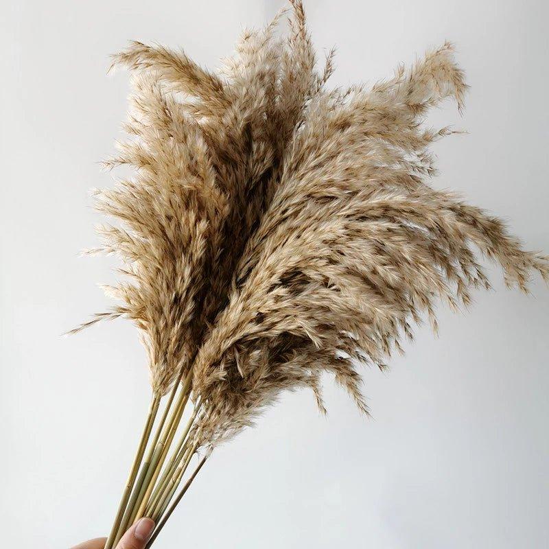 60 cm naturlig, ægte, brun-beige tørret pampasgræs buket │ fluffy fjer til moderne boho hjemmeindretning